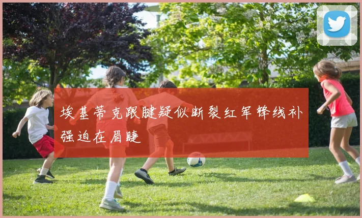 埃基蒂克跟腱疑似断裂红军锋线补强迫在眉睫