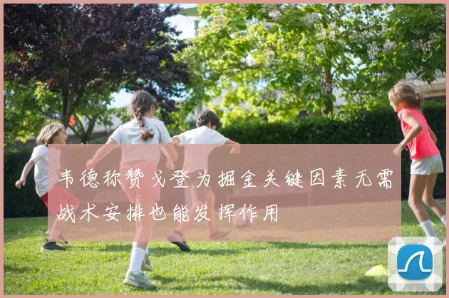 韦德称赞戈登为掘金关键因素无需战术安排也能发挥作用
