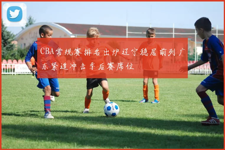 CBA常规赛排名出炉辽宁稳居前列广东紧追冲击季后赛席位