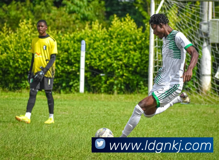 九游j9官网入口链接平台生态图