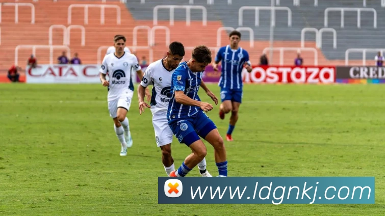 九游j9官网入口链接APP 封面图