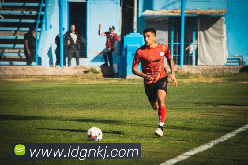 数据防护可视化